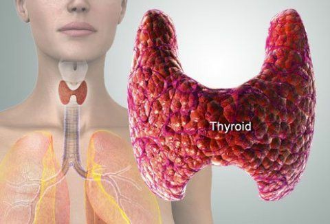 غده تیروئید برای ساخت هورمون های تیروئید به عنصر ید نیاز دارد. افزایش مقدار ید باعث پرکاری تیروئید خواهد شد.
معمولا در بیمارانی که دارای غده تیروئید غیرطبیعی می باشند، پرکاری تیروئید ناشی از ید دیده می شود.
