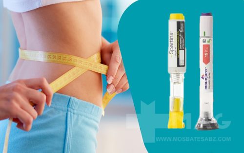 apoule-for-losing-belly-fat1